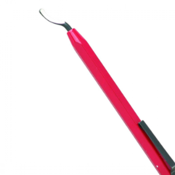 COMING SBAVATORE A PENNA CODICE 5000405