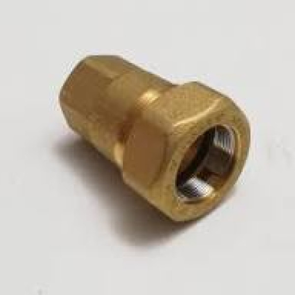 BIGIUNTO FEMMINA 1/2